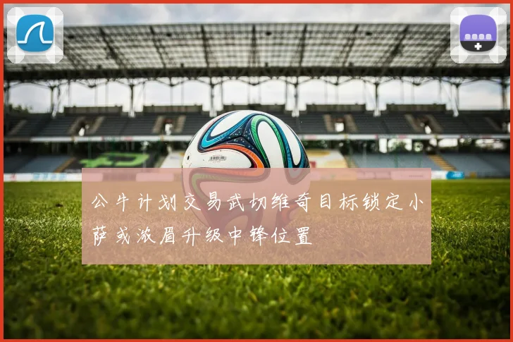 公牛计划交易武切维奇目标锁定小萨或浓眉升级中锋位置