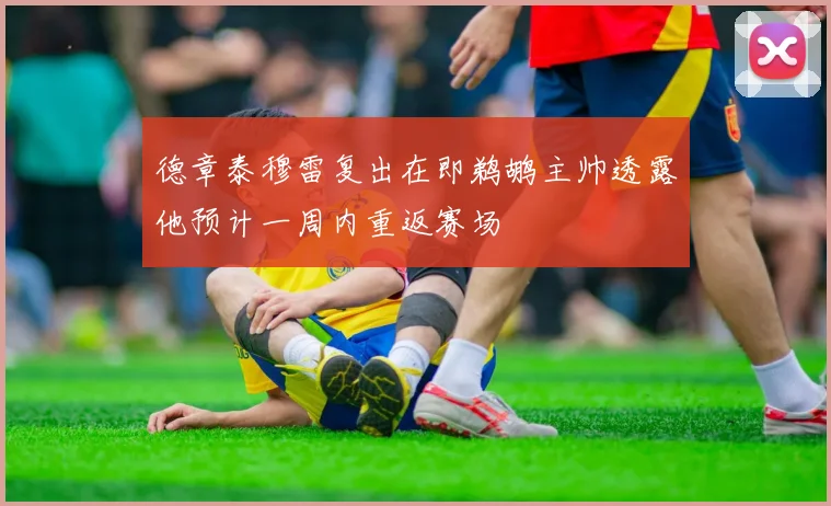 德章泰穆雷复出在即鹈鹕主帅透露他预计一周内重返赛场