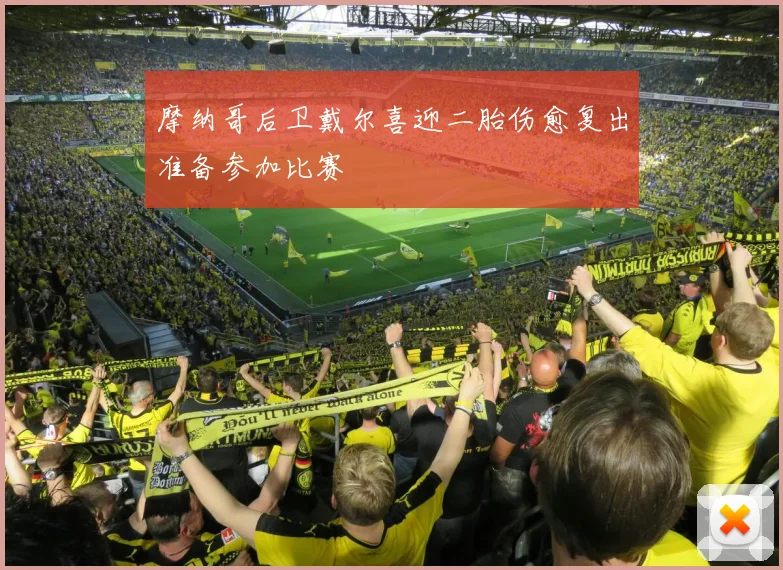 摩纳哥后卫戴尔喜迎二胎伤愈复出准备参加比赛